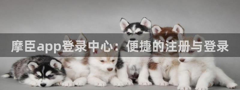 壹号大舞台官网：摩臣app登录中心：便捷的注册与登录