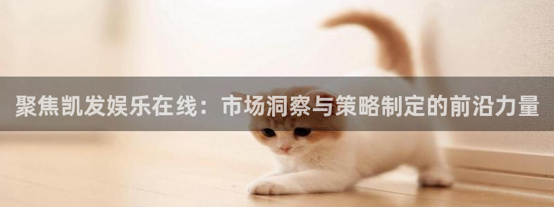 壹号平台app下载安装：聚焦凯发娱乐在线：市场洞察与策略制定的前沿力量