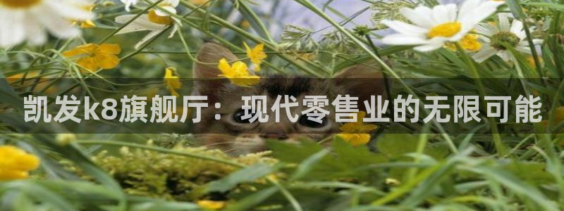 壹号娱乐app：凯发k8旗舰厅：现代零售业的无限可能