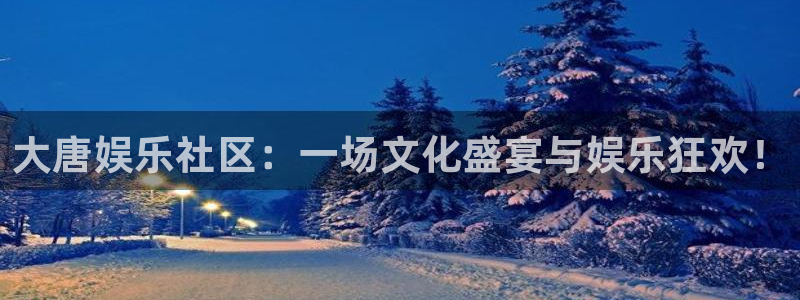 壹号注册入口app下载：大唐娱乐社区：一场文化盛宴与娱乐狂欢！