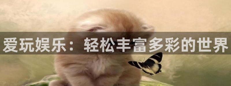 壹号大舞台官网：爱玩娱乐：轻松丰富多彩的世界