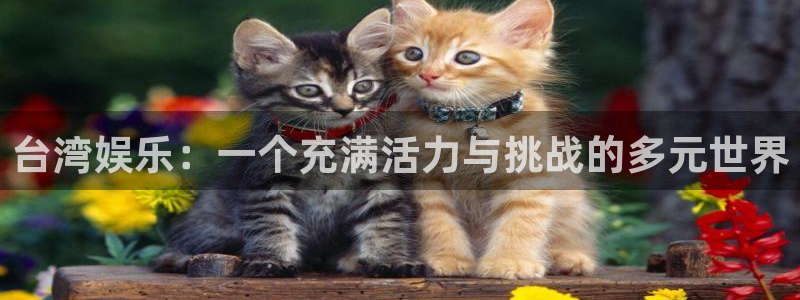 壹号娱乐app官网下载苹果：台湾娱乐：一个充满活力与挑战的多元世界