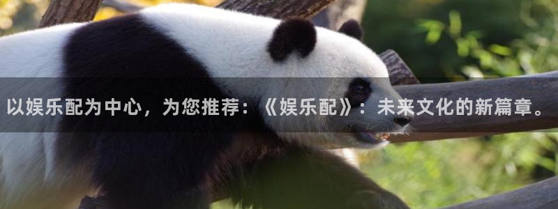 壹号大舞台官网：以娱乐配为中心，为您推荐：《娱乐配》：未来文化的新篇章。
