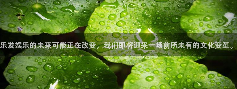 壹号app下载官网娱乐：乐发娱乐的未来可能正在改变，我们即将迎来一场前所未有的文化变革。