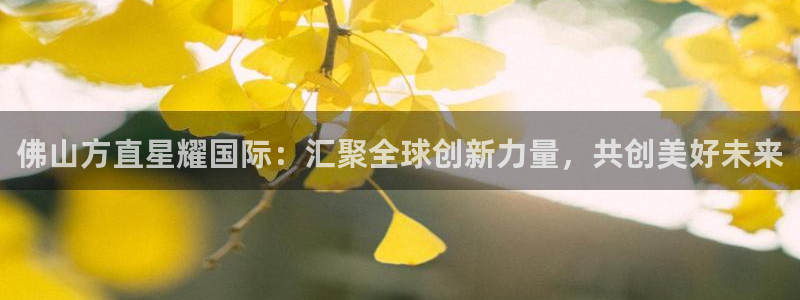 壹号平台下载安装：佛山方直星耀国际：汇聚全球创新力量，共创美好未来