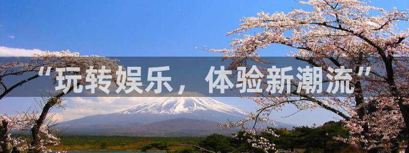 壹号娱乐下载入口：“玩转娱乐，体验新潮流”