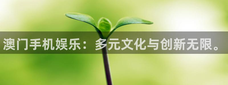 壹号娱乐app：澳门手机娱乐：多元文化与创新无限。