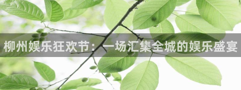 壹号电子娱乐app下载：柳州娱乐狂欢节：一场汇集全城的娱乐盛宴