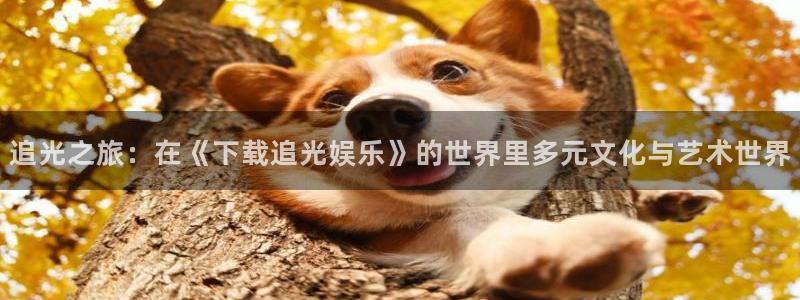 壹号娱乐怎么下载：追光之旅：在《下载追光娱乐》的世界里多元文化与艺术世界