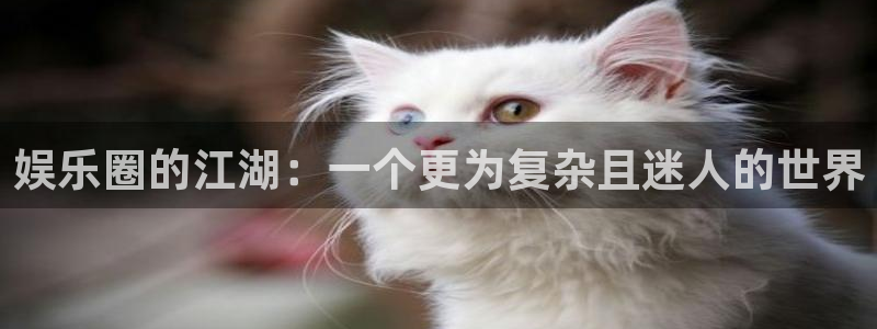 壹号top娱乐：娱乐圈的江湖：一个更为复杂且迷人的世界