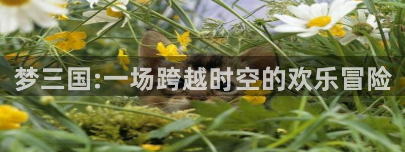 壹号娱乐,apk.：梦三国:一场跨越时空的欢乐冒险