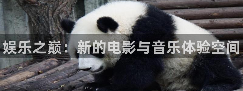 壹号电子娱乐app下载官网：娱乐之巅：新的电影与音乐体验空间