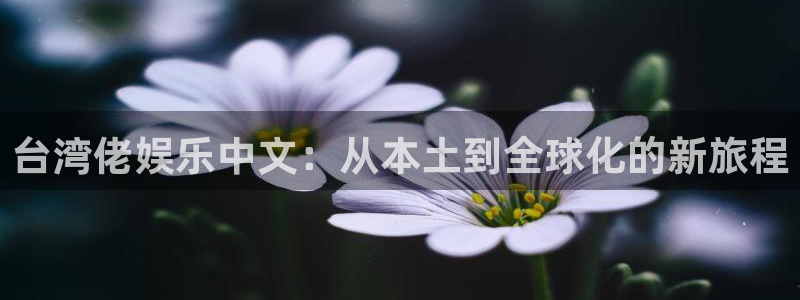 壹号平台娱乐：台湾佬娱乐中文：从本土到全球化的新旅程
