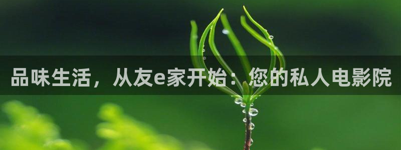 壹号娱乐app官网下载苹果：品味生活，从友e家开始：您的私人电影院