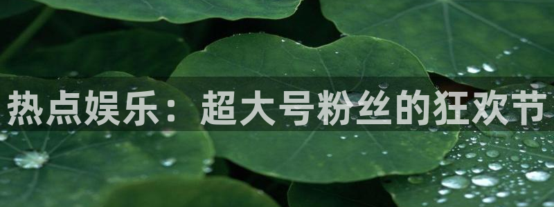 壹号平台下载安装官网