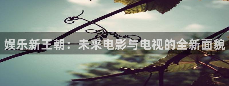 壹号电子娱乐app下载