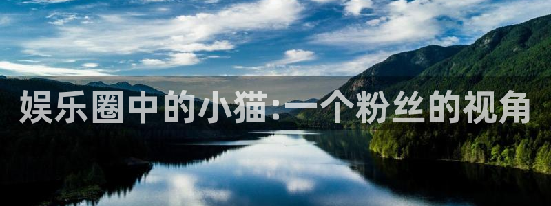 壹号娱乐平台app下载安装：娱乐圈中的小猫:一个粉丝的视角