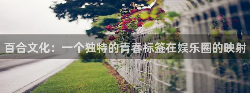 伟德国际集团 壹号(one game)：百合文化：一个独特的青春标签在娱乐圈的映射