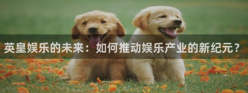 壹号电子娱乐app下载最新版本安装：英皇娱乐的未来：如何推动娱乐产业的新纪元？