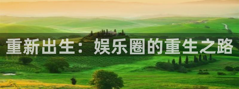 壹号娱乐电子游戏官网：重新出生：娱乐圈的重生之路
