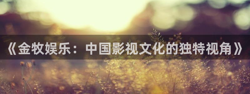 壹号娱乐充值怎么退款：《金牧娱乐：中国影视文化的独特视角》
