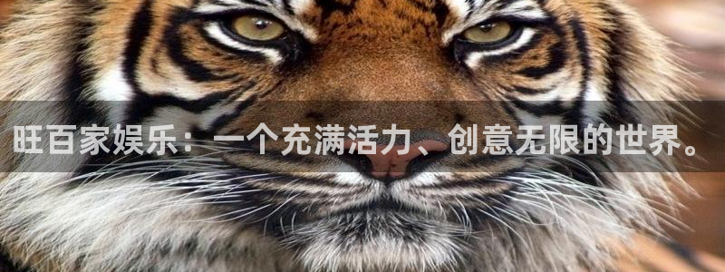 壹号大舞台怎么下载：旺百家娱乐：一个充满活力、创意无限的世界。