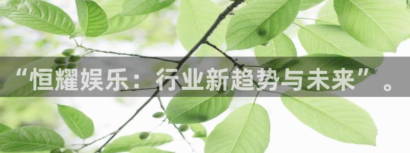 壹号娱乐app：“恒耀娱乐：行业新趋势与未来”。