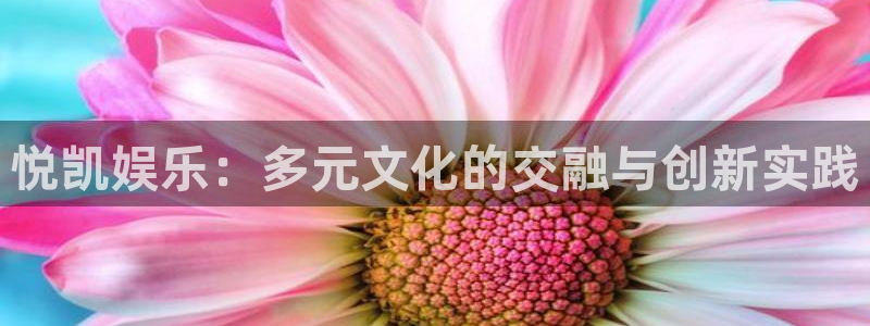 壹号app官网：悦凯娱乐：多元文化的交融与创新实践