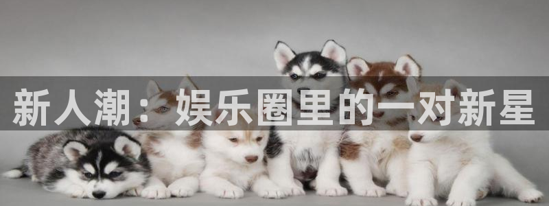 壹号app下载链接：新人潮：娱乐圈里的一对新星
