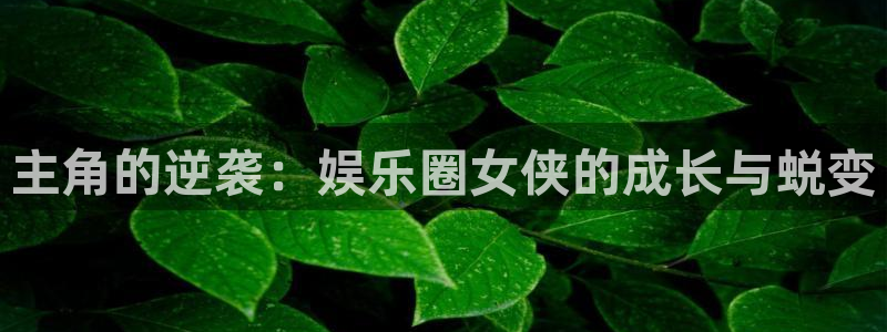 壹号app官网：主角的逆袭：娱乐圈女侠的成长与蜕变