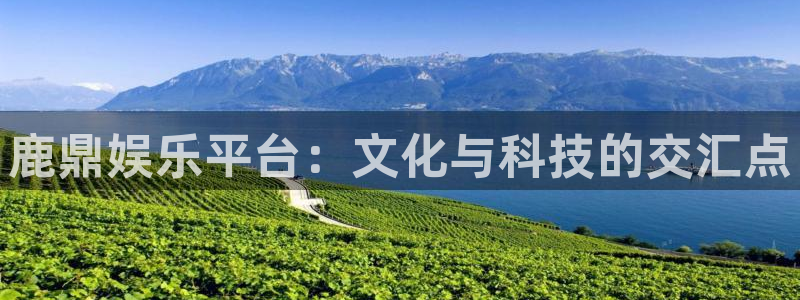 壹号平台下载安装：鹿鼎娱乐平台：文化与科技的交汇点