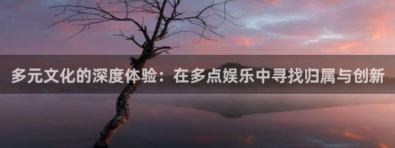 壹号娱乐平台app下载安装：多元文化的深度体验：在多点娱乐中寻找归属与创新