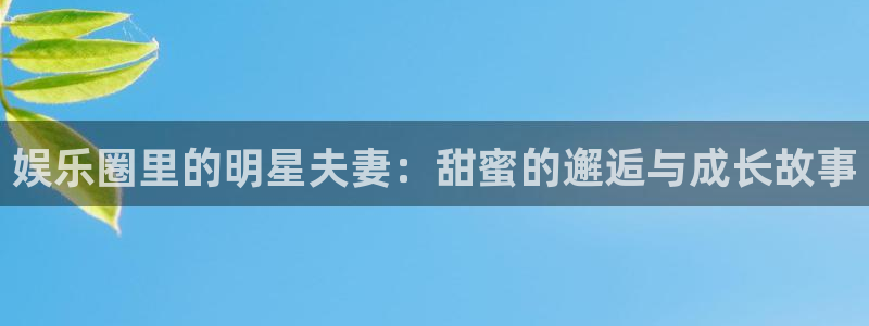 壹号娱乐官网下载：娱乐圈里的明星夫妻：甜蜜的邂逅与成长故事