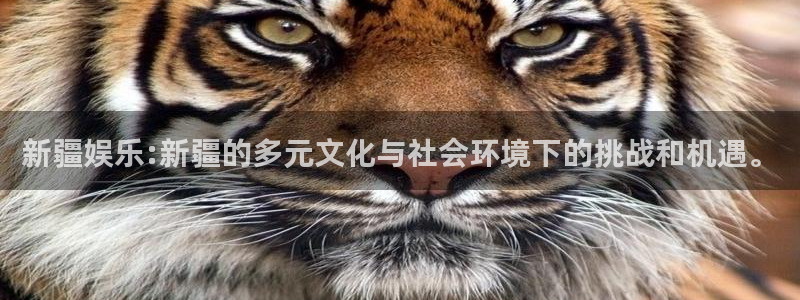 壹号大舞台下载链接：新疆娱乐:新疆的多元文化与社会环境下的挑战和机遇。