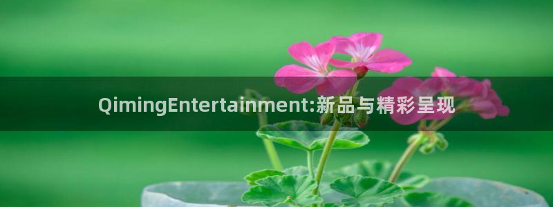 壹号电子娱乐app下载：QimingEntertainment:新品与精彩呈现