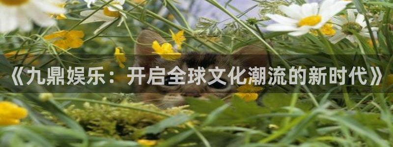 壹号大舞台下载链接：《九鼎娱乐：开启全球文化潮流的新时代》