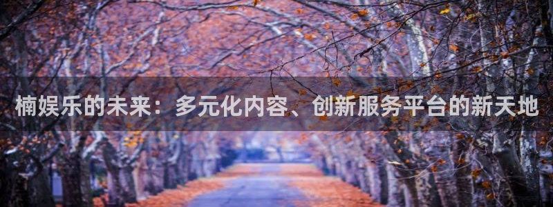 壹号娱乐app下载安装：楠娱乐的未来：多元化内容、创新服务平台的新天地