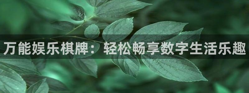 壹号娱乐app