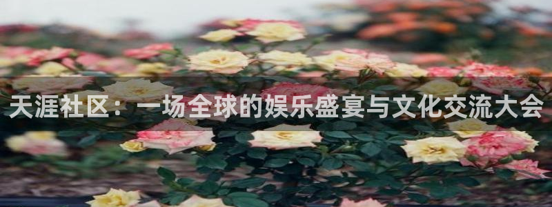 壹号娱乐网址：天涯社区：一场全球的娱乐盛宴与文化交流大会
